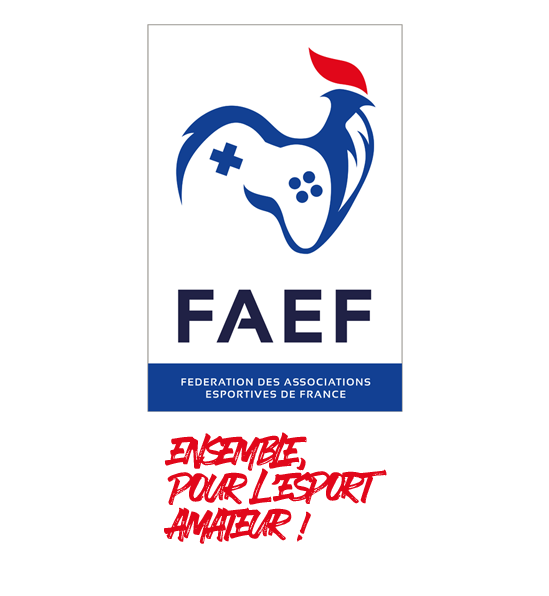 Fédération des Associations Esportives de France